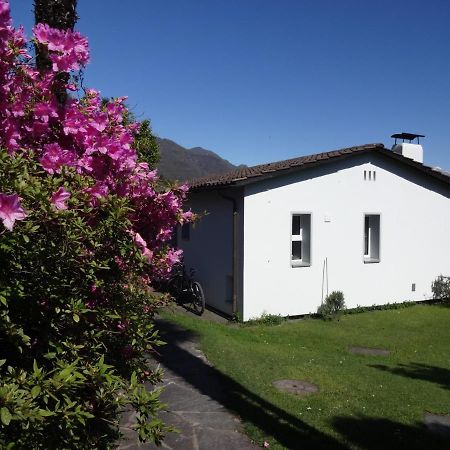 Residenza Paradiso Di Vacanze Minusio Luaran gambar