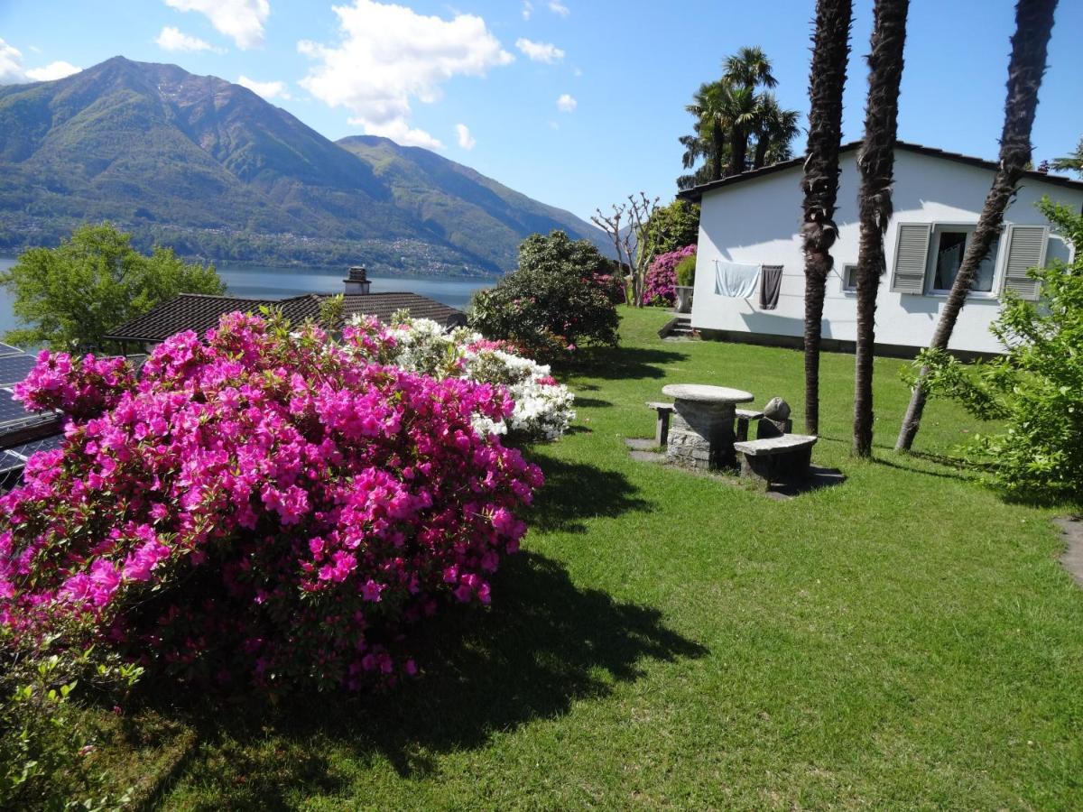 Residenza Paradiso Di Vacanze Minusio Luaran gambar