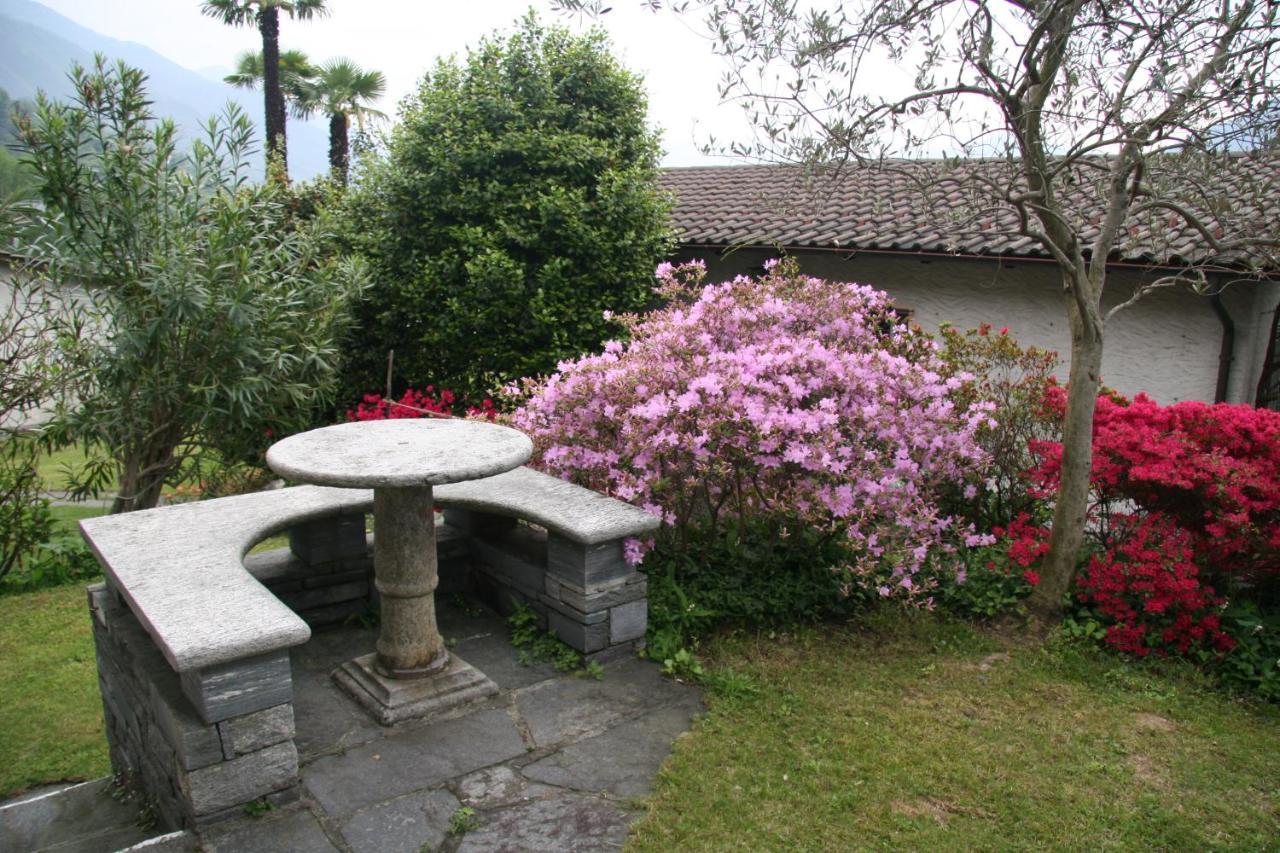 Residenza Paradiso Di Vacanze Minusio Luaran gambar